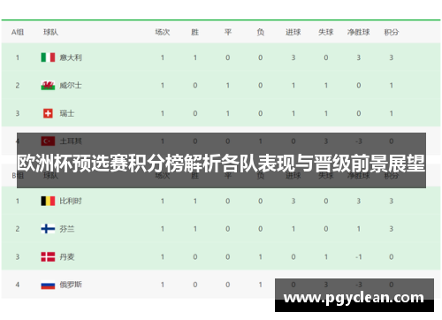 欧洲杯预选赛积分榜解析各队表现与晋级前景展望