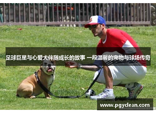 足球巨星与心爱犬伴随成长的故事 一段温馨的宠物与球场传奇