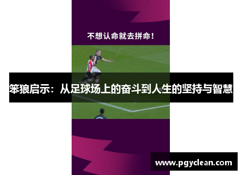 笨狼启示：从足球场上的奋斗到人生的坚持与智慧